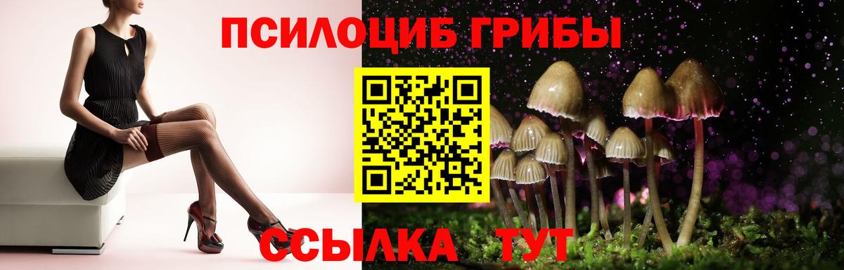 Галлюциногенные грибы мицелий  Вход с VPN  купить наркоту  Сибай 